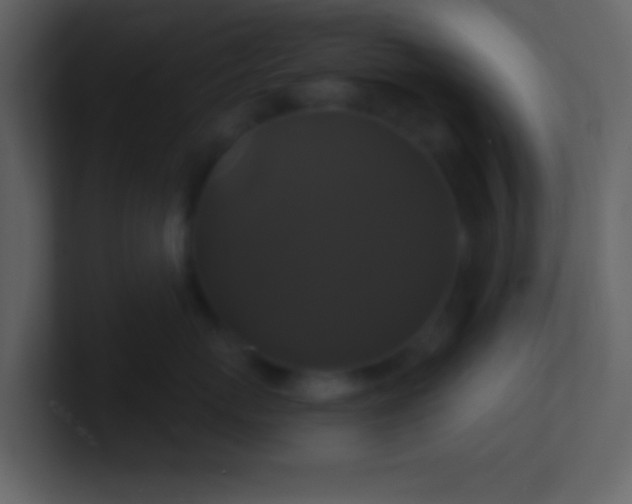 X0000100920767200807081151