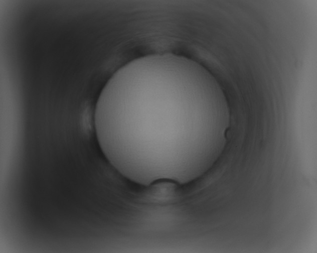 X0000100920768200807081151