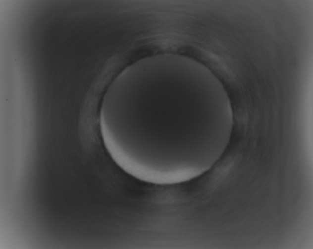 X0000100920769200807081150