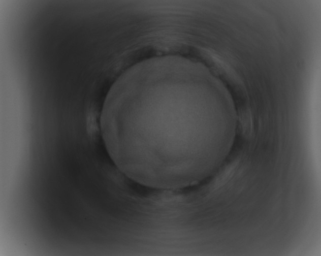 X0000100920770200807081150