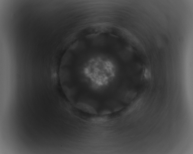 X0000100920771200807081150