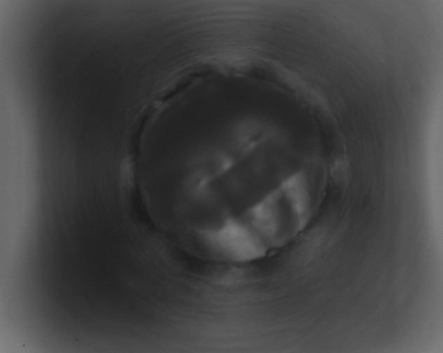 X0000100920772200807081150