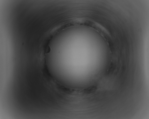 X0000100920773200807081150