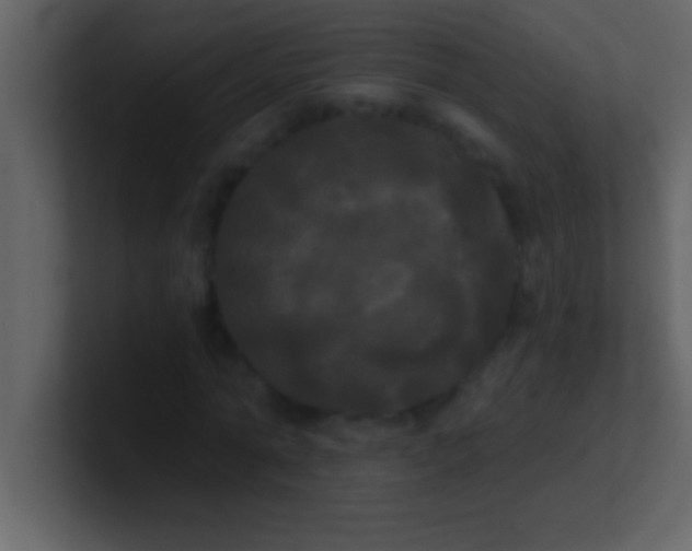 X0000100920774200807081150