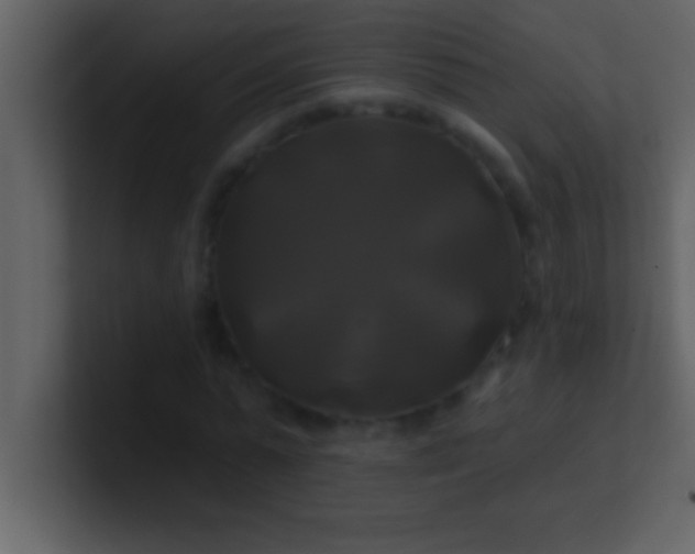 X0000100920775200807081150