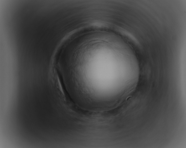 X0000100920776200807081150