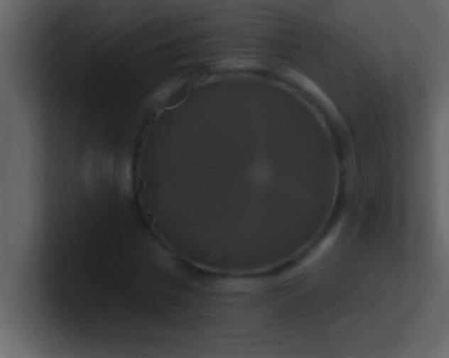 X0000100920777200807081150