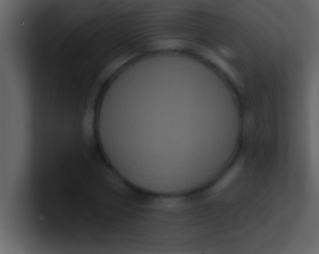 X0000100920778200807081150