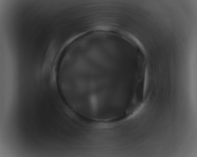 X0000100920779200807081150