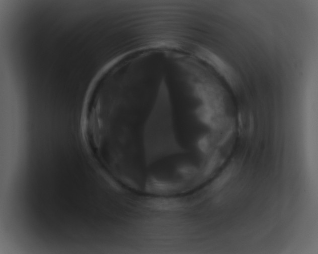 X0000100920780200807081150