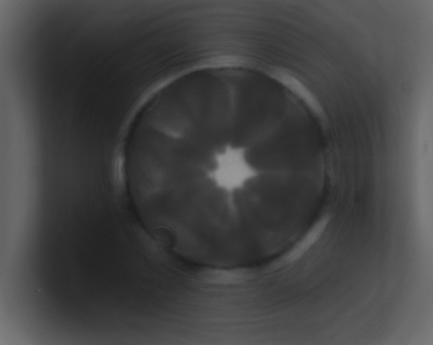 X0000100920781200807081150