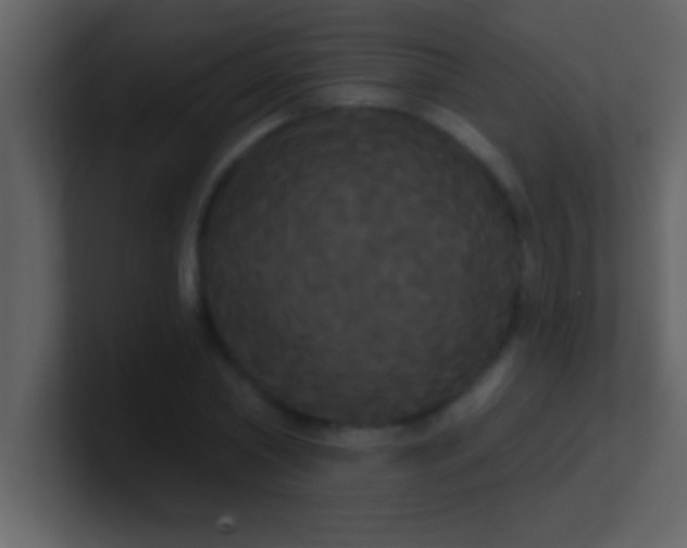 X0000100920782200807081150