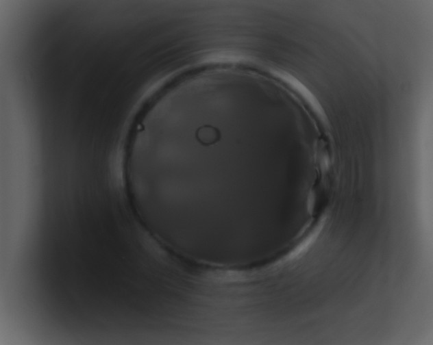 X0000100920783200807081150