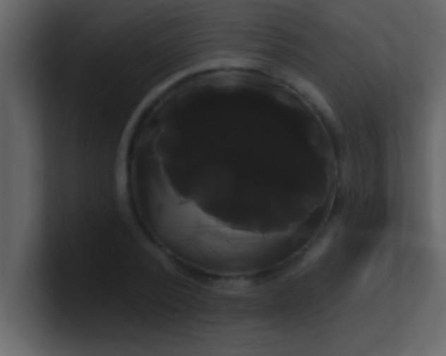 X0000100920784200807081150