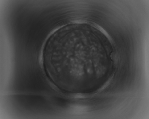 X0000100920787200807081150