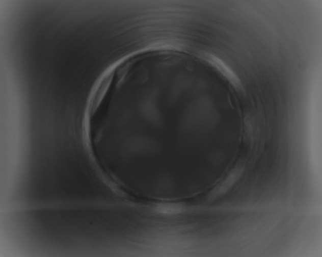 X0000100920788200807081150