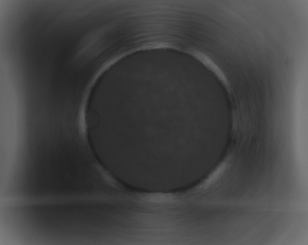 X0000100920789200807081150