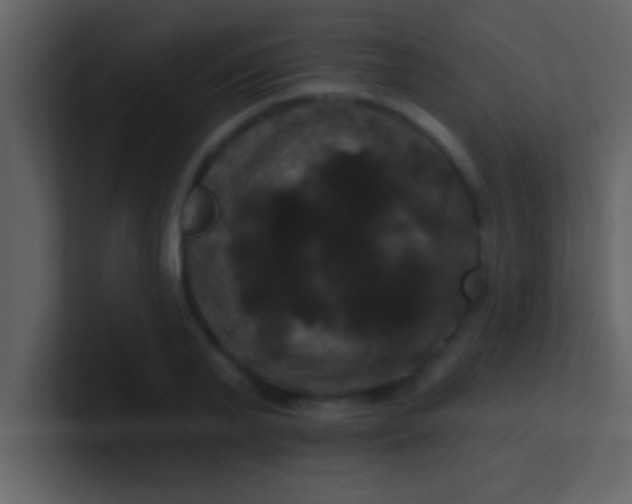 X0000100920791200807081150