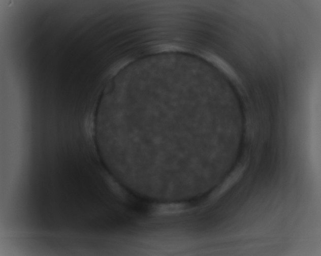 X0000100920793200807081150