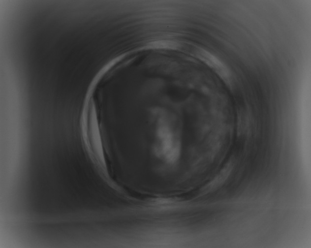 X0000100920796200807081150