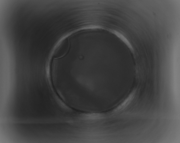 X0000100920797200807081150