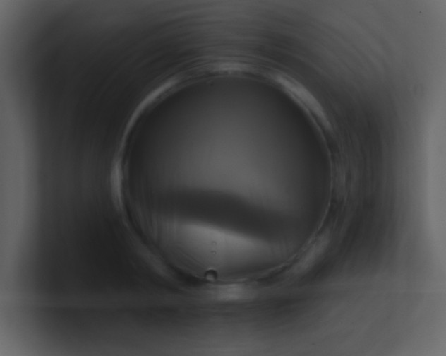 X0000100920798200807081150