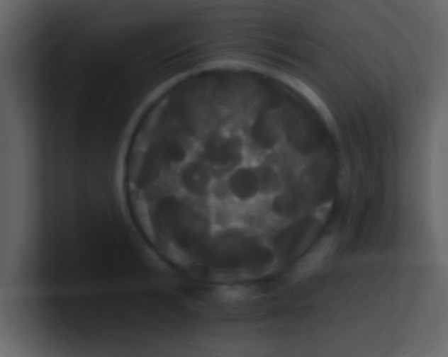 X0000100920799200807081150