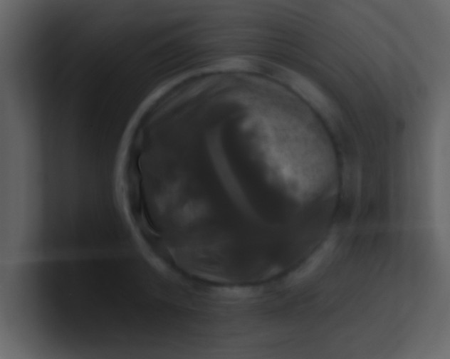 X0000100920800200807081150