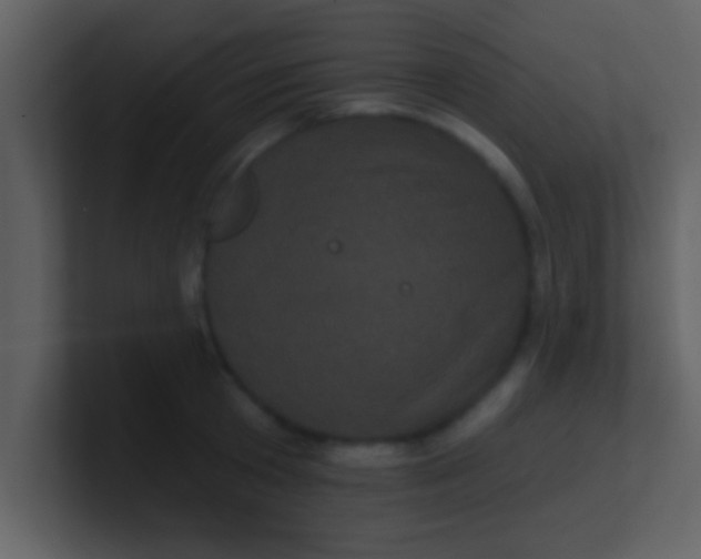 X0000100920801200807081150