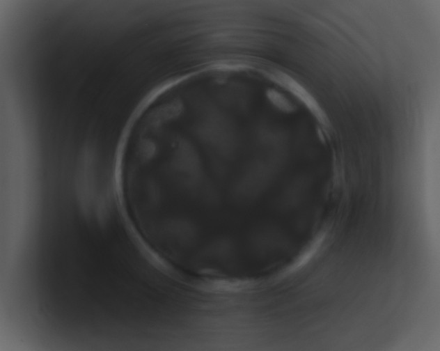 X0000100920803200807081150