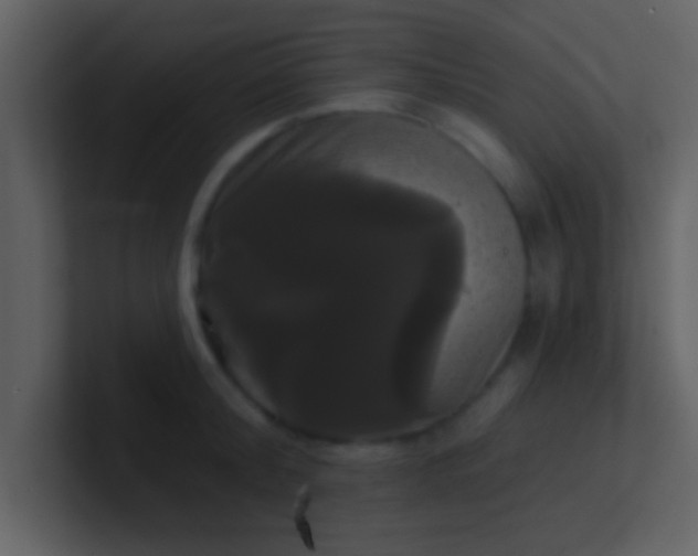 X0000100920804200807081150