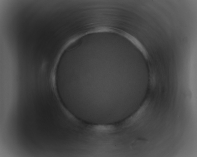 X0000100920805200807081149