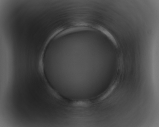 X0000100920806200807081149