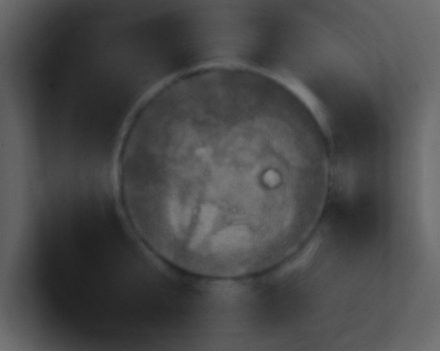 X0000100920807200807081149