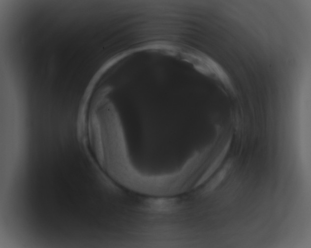 X0000100920808200807081149