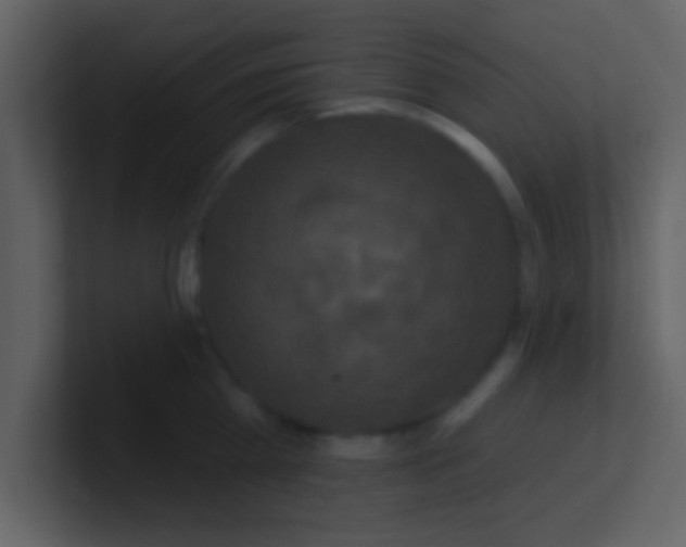 X0000100920809200807081149