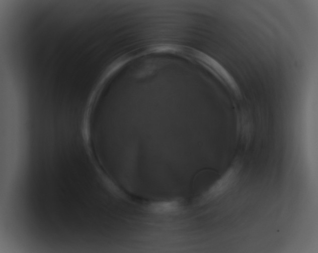 X0000100920810200807081149