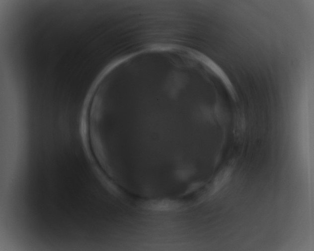 X0000100920811200807081149