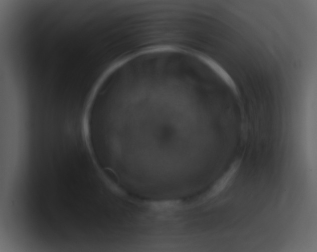 X0000100920813200807081149