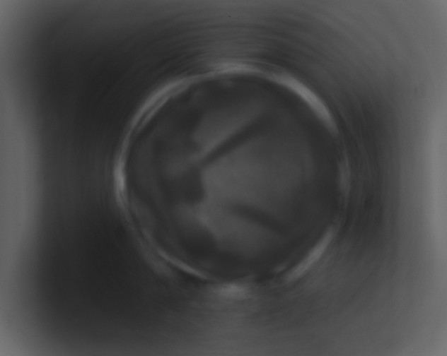 X0000100920814200807081149