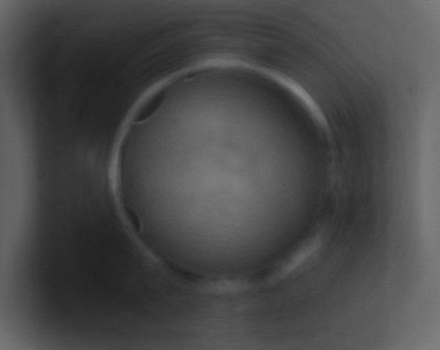 X0000100920815200807081149