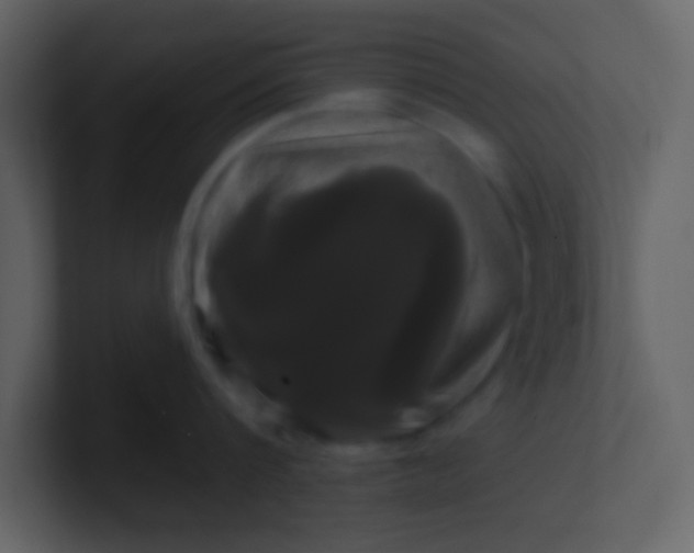 X0000100920816200807081149