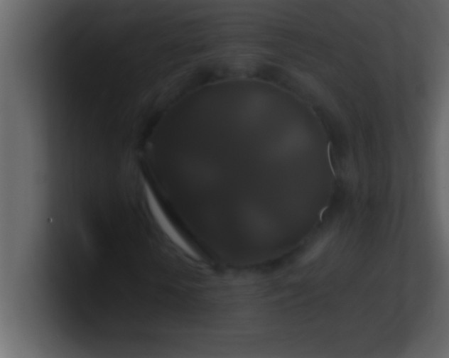 X0000100920818200807081149