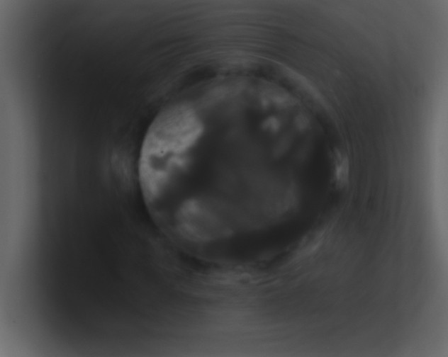 X0000100920819200807081149