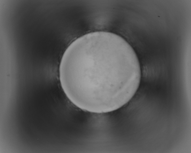 X0000100920820200807081149