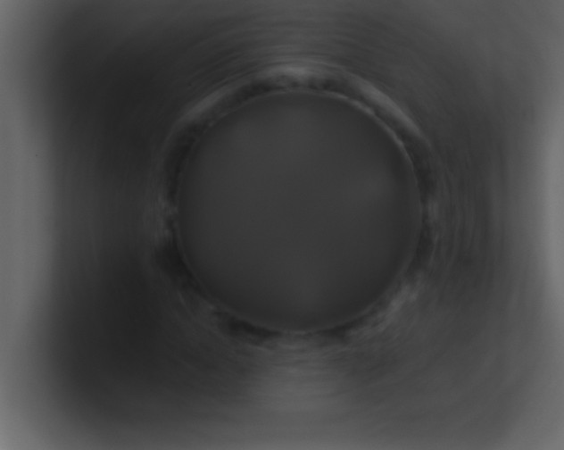 X0000100920822200807081149