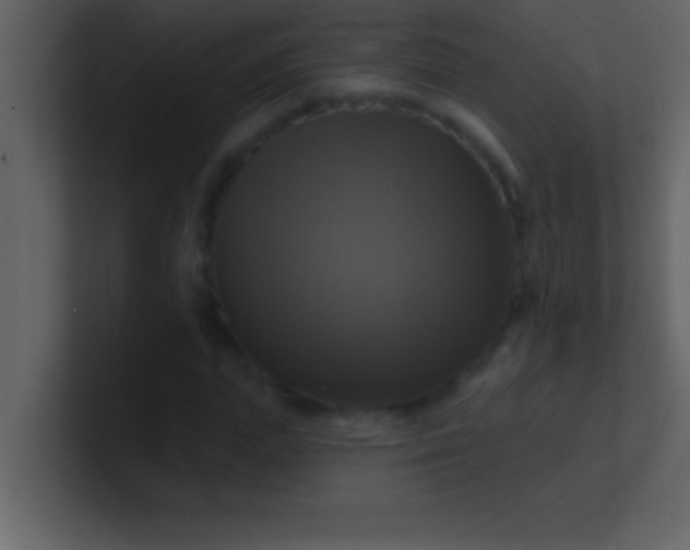 X0000100920823200807081149