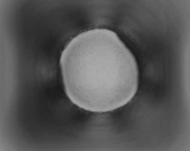 X0000100920824200807081149