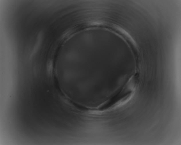 X0000100920825200807081149