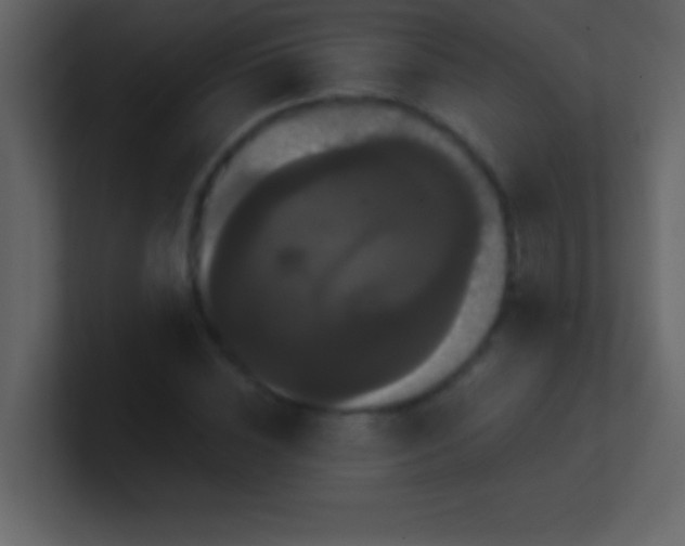 X0000100920828200807081149